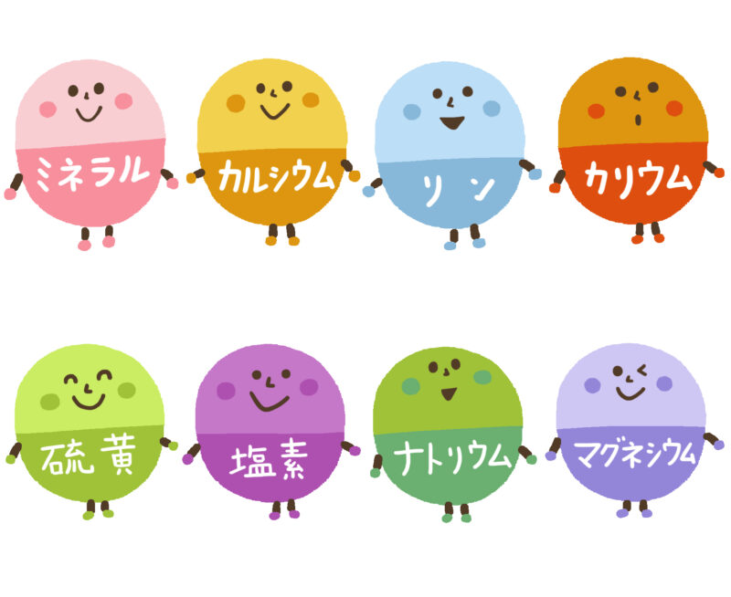 戸田市のパーソナルジムHealthyのブログ：ミネラルスープ：各種ミネラルの画像